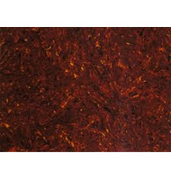 Πάστες / Celluloid | Πάστες / Celluloid στο Bouzouki Luthier