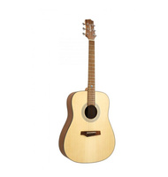 Randon RGI-01 | Acoustic guitars στο Pegasus Music Store