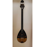 Τζούρας 8χορδος ΕCO | Τζουράδες 8-χορδοι στο Pegasus Music Store