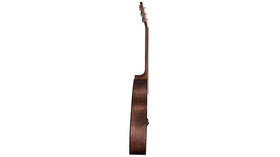 Baton Rouge AR21C/A | Ακουστικές στο Pegasus Music Store