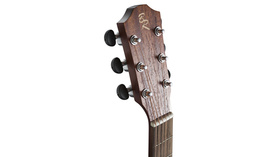 Baton Rouge T22S/ACE | Ηλεκτροακουστικές στο Pegasus Music Store