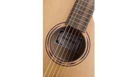 Baton Rouge T22S/ACE | Ηλεκτροακουστικές στο Pegasus Music Store