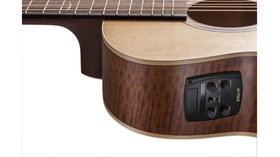 Baton Rouge T22S/ACE | Ηλεκτροακουστικές στο Pegasus Music Store