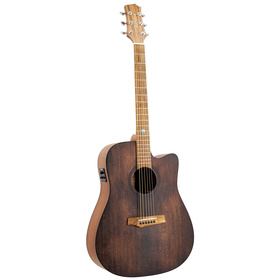 Randon RGI-10 VT-CE | Ηλεκτροακουστικές στο Bouzouki Luthier
