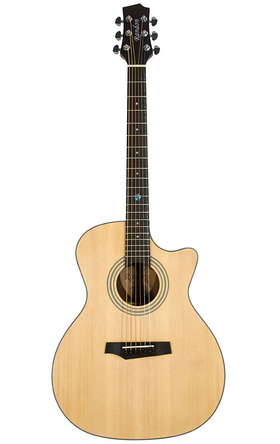 Randon RGI-04CE | Ηλεκτροακουστικές στο Bouzouki Luthier