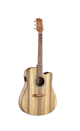 Randon RGI-PW01-CE | Ηλεκτροακουστικές στο Bouzouki Luthier