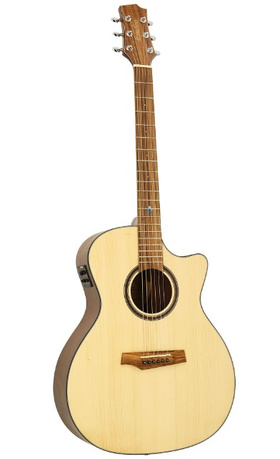 Randon RGI 24CE | Ηλεκτροακουστικές στο Pegasus Music Store