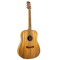 Randon RGI M1 | Ακουστικές Κιθάρες στο Pegasus Music Store