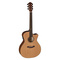 Baton Rouge AR21C GACE | Ηλεκτροακουστικές στο Bouzouki Luthier