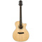 Randon RGI-04CE | Ηλεκτροακουστικές στο Bouzouki Luthier