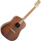 Randon RGI -10 VT | Ακουστικές στο Bouzouki Luthier