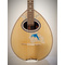 Handmade Bouzouki 8-strings with light blue dolphin design | Bouzouki 8-strings στο Pegasus Music Store