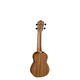 Baton Rouge UR21-S | ΓΙΟΥΚΑΛΙΛΙ στο Bouzouki Luthier