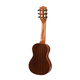 Makawao Guitalele 20 | ΓΙΟΥΚΑΛΙΛΙ στο Pegasus Music Store